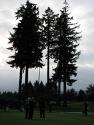 The 2008 Oregon Duck Invitational golf tournament at Emerald Valley GC.