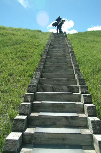 DSCF3167