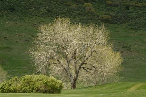 DSCF3227